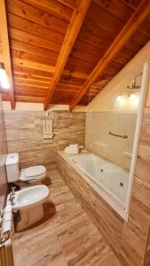 a bathroom with a toilet and a sink and a tub at Apart Altos Del Nahuel in San Carlos de Bariloche +79 photos