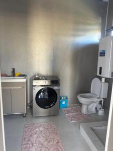a small bathroom with a washing machine and a toilet at Lake in Bosteri