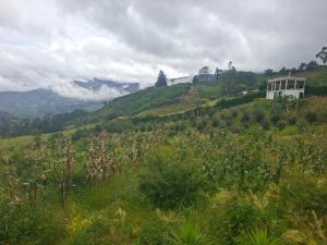 a grassy hill with a white building on top of it at Alojamiento Campestre Barachel in Pamplona