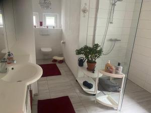 a bathroom with a sink and a shower and a toilet at Ferienwohnung Lindenstraße in Pirna