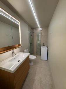a bathroom with a sink and a toilet and a mirror at Parkside apartment in Narvik +9 photos