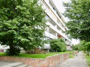a building with a tree next to a brick wall at Freshly Renovated Black & Sand Studio in Liepāja