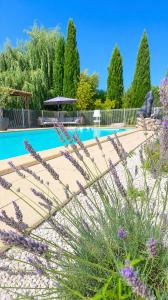 a garden with purple flowers in front of a swimming pool at Petite maisonnette avec accés piscine in Montauban