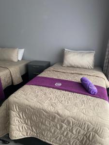 a bed with two purple pillows on top of it at Florence contractors accomodation in Standerton
