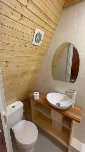 a bathroom with a toilet and a sink and a mirror at Cabana La Poiata in Valea Chioarului