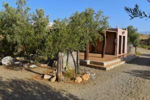a small house in a desert with trees and rocks at Casa de desierto in Tabernas