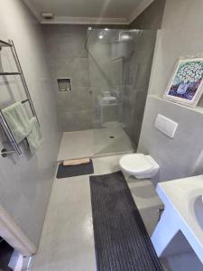 a bathroom with a shower and a toilet and a sink at Palm Zicht in Cape Town