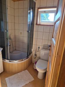 a bathroom with a shower and a toilet and a sink at Dom pod lipą in Łeba +13 photos