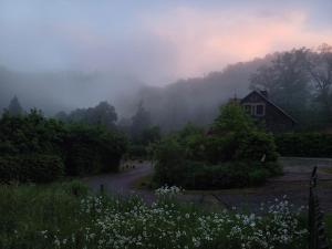 a house on a foggy hill with a dirt road at Oben im Selketal Parterre in Harzgerode