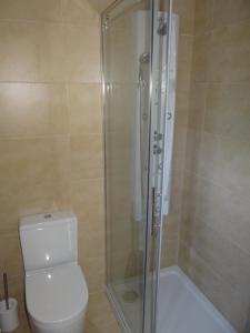 a bathroom with a toilet and a glass shower at Casa do Forno in Castro de Oro +8 photos