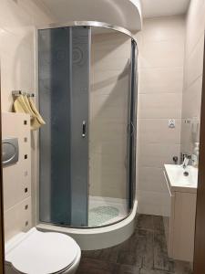 a bathroom with a shower with a toilet and a sink at Przytulna Kawalerka Łeba in Łeba