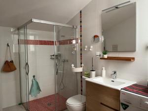 a bathroom with a shower and a toilet and a sink at Loft El Til-ler in Bellvei del Penedes