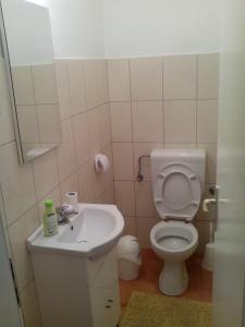 A bathroom at Apartments Karla Slatine