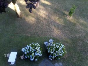 an overhead view of chairs and flowers on the grass at Villa Signerose - chambres chez l'habitant au cœur de l'Ardèche - Hautes vallées in Le Cheylard +2 photos