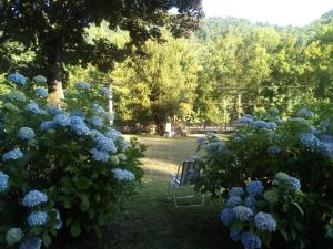 a bench in a garden with blue flowers at Villa Signerose - chambres chez l'habitant au cœur de l'Ardèche - Hautes vallées in Le Cheylard