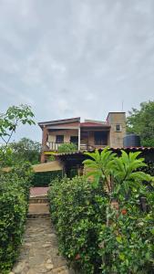 a house on top of a building with bushes at Hotel Casa Huijazoo in Mazunte