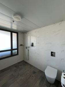 a bathroom with a toilet and a window at סוויטת נוף התכלת in Migdal +4 photos