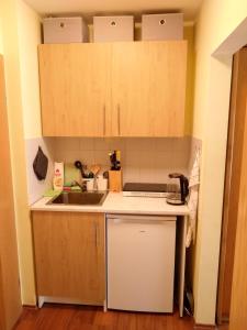 a small kitchen with a sink and a stove at Apartment 35, 36 Christopherhof Grafenwiesen in Grafenwiesen
