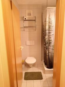 a small bathroom with a toilet and a shower at Apartment 35, 36 Christopherhof Grafenwiesen in Grafenwiesen +24 photos