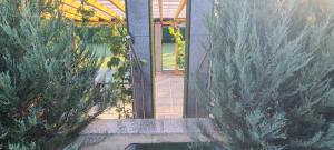 an internal view of a garden with trees at Luxury White Sails Villas with a Multi Sport Court and Sea View in Pinezici
