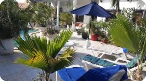 a patio with chairs and an umbrella and plants at Hostel WAIVING MILL in Oranjestad
