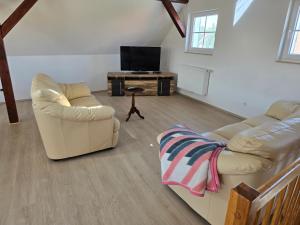 a living room with two couches and a tv at Ferienhaus An der Teufelsklippe in Veckenstedt