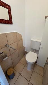 a bathroom with a toilet and a shower with a mirror at Nice Studio Apartment in Gumpoldskirchen