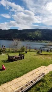 a park with benches on the grass near a lake at Complex Forest Sarnitsa in Sarnitsa