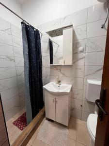 a bathroom with a sink and a toilet and a shower at Musical Pansion Radgost, Rtanj in Rtanj