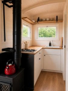 a small kitchen with a stove in a tiny house at maringotka Hedvika glamping in Pašice