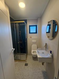 a bathroom with a shower and a sink and a toilet at Stan 11 in Đenovići