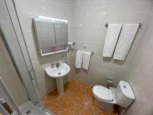 a bathroom with a toilet and a sink and a shower at Apartamento Airoso em Miranda in Miranda do Douro