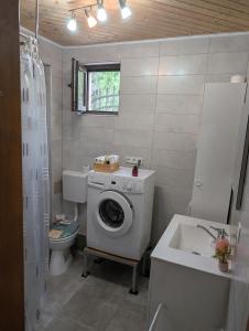 a bathroom with a washing machine and a sink at Coco & Simi Lakeside Nest in Cinciş +13 photos
