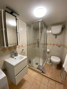 a bathroom with a shower and a sink and a toilet at Appartamento Catini 67 in Civitavecchia