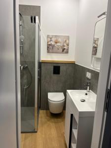 a bathroom with a shower and a toilet and a sink at Apartament Mini Stary Sącz in Stary Sącz