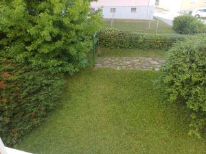 an aerial view of a yard with a tree at M&L Hartberg in Hartberg