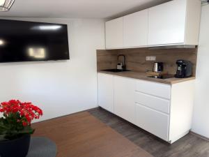 a kitchen with white cabinets and a vase of red flowers at APARTMÁNY za divadlem in Broumov +53 photos