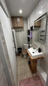 a bathroom with a toilet and a sink at Gite du Tacot 21 in Saulieu