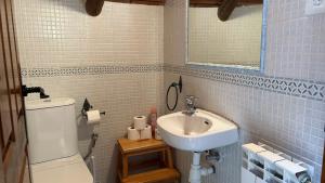 a bathroom with a sink and a toilet and a mirror at Casa Rural GABARDA in Aso de Sobremonte +14 photos