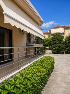 a row of green bushes next to a building at Hotel Olivia in Agiokampos