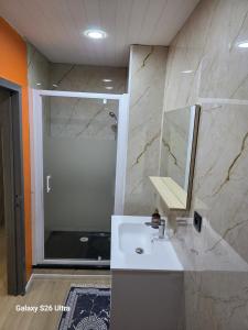 a bathroom with a sink and a mirror and a shower at Fleurus House in Fleurus
