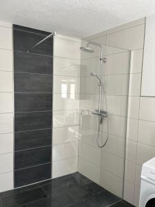 a bathroom with a shower with a glass door at Ferienwohnung Krayenbergblick 1 in Bad Salzungen