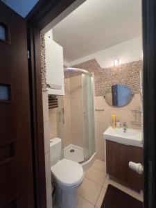 a bathroom with a toilet and a shower and a sink at Apartament Łeba in Żarnowska +14 photos