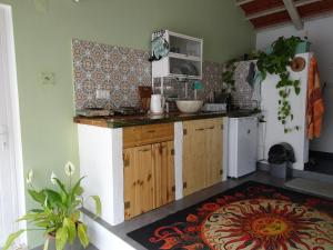a kitchen with wooden cabinets and a counter top at Carma de Madeira Lodge in Penela