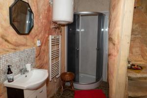 a bathroom with a shower and a sink at Midgard in Osiecznica +61 photos