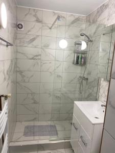 a bathroom with a shower and a sink at Alina Home in Mediaş