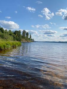 a large body of water with trees on the shore at Lappnäs Bed & Breakfast in Sunne