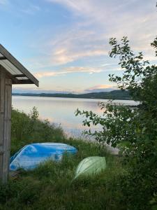 a blue boat in the grass next to a lake at Lappnäs Bed & Breakfast in Sunne