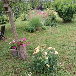 a garden with flowers and a bird house on a tree stump at chambre d'hôte les avettes in Réméréville +1 photo
