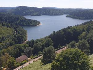 an aerial view of a lake in the woods at Nature & bien-être - 1 chambre à l'étage in Étival-Clairefontaine